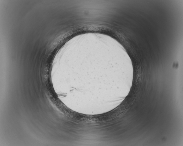 X0000113990683200911131118