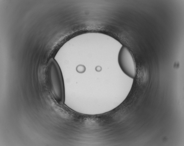 X0000113990684200911131118