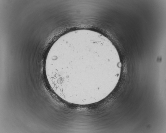 X0000113990685200911131118