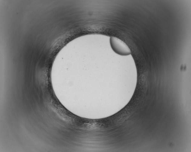 X0000113990688200911131118