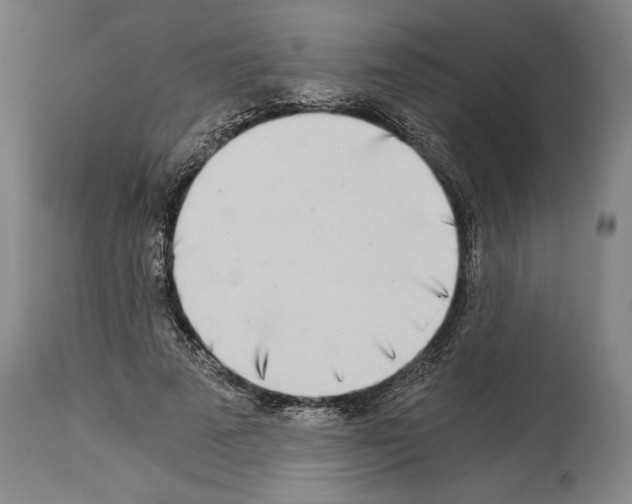 X0000113990689200911131118