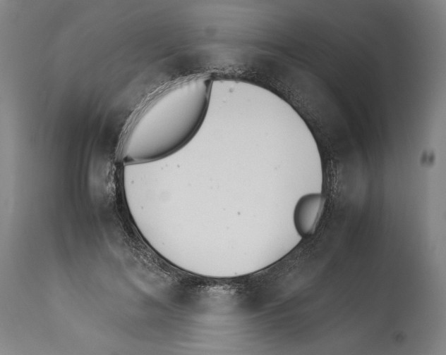 X0000113990692200911131118