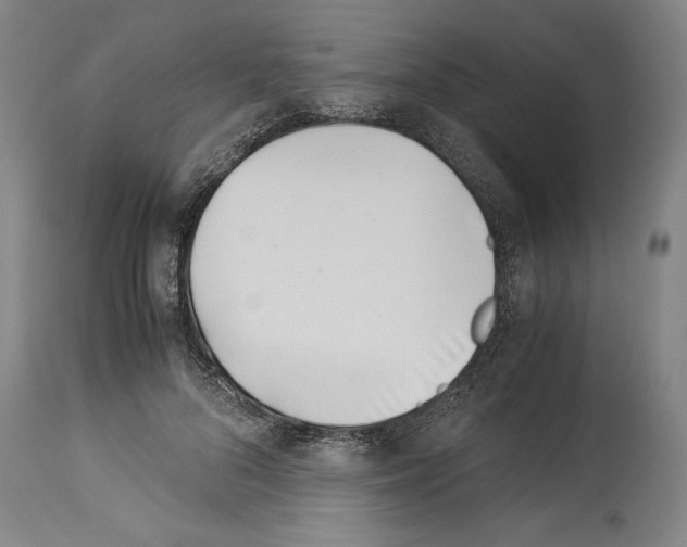 X0000113990696200911131118