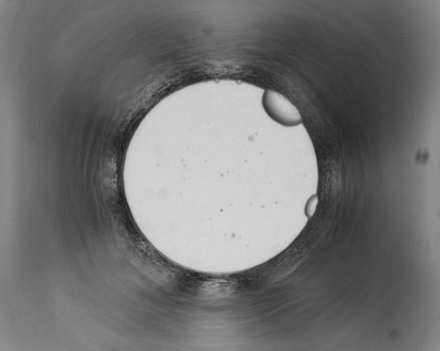 X0000113990700200911131118