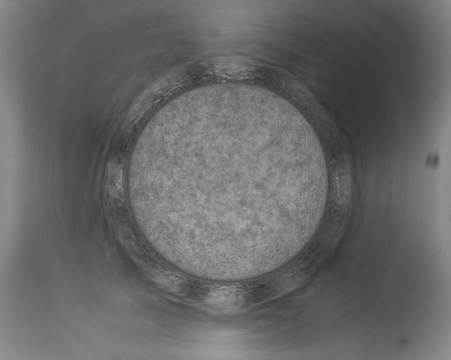 X0000113990705200911131118