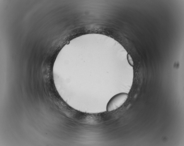 X0000113990708200911131118