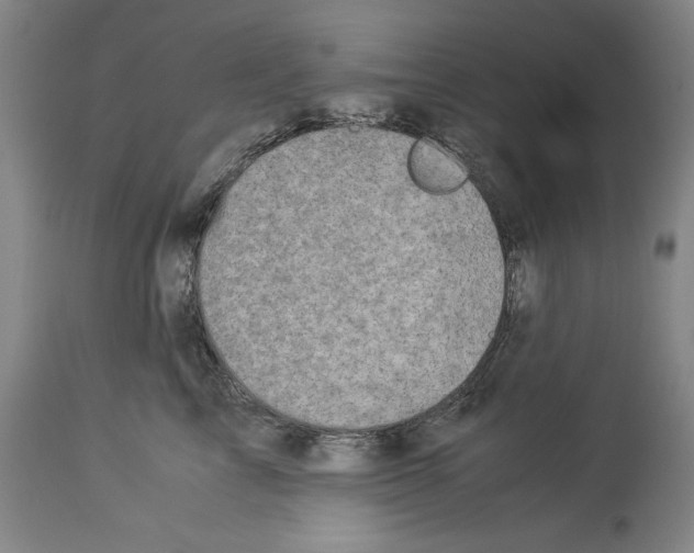 X0000113990713200911131118