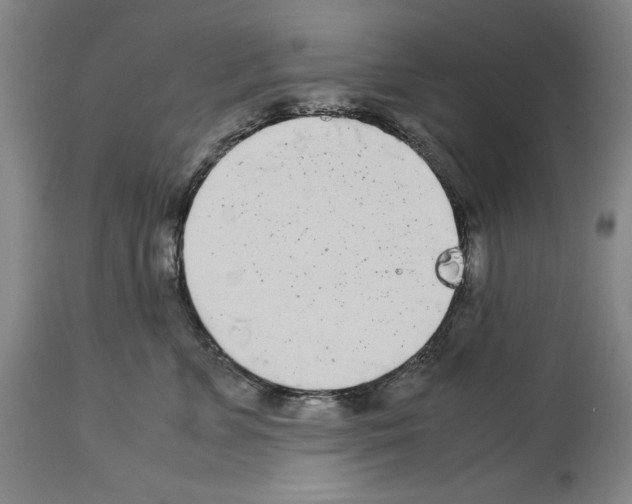 X0000113990715200911131118