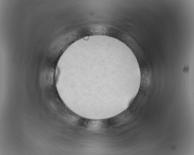 X0000113990717200911131118