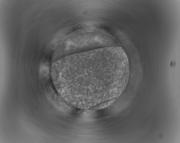 X0000113990720200911131118