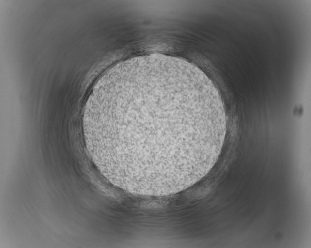 X0000113990721200911131117