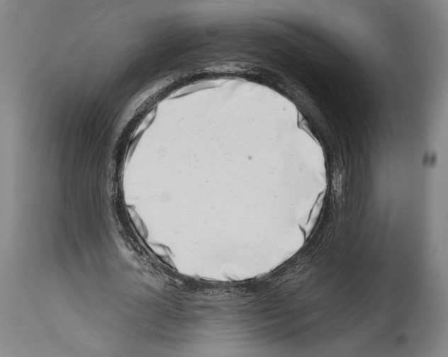 X0000113990724200911131117