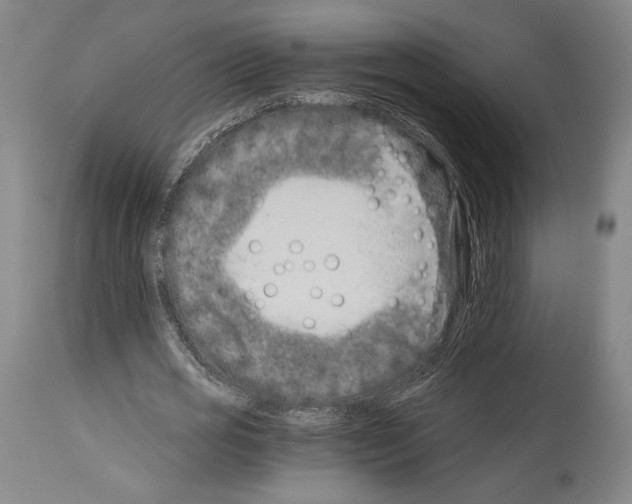 X0000113990725200911131117