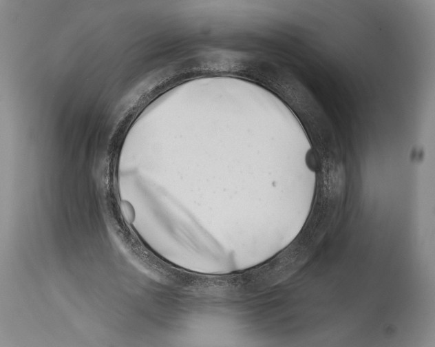 X0000113990726200911131117