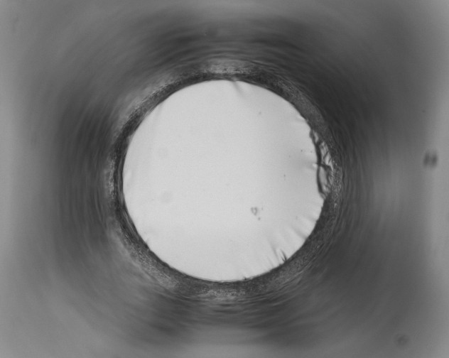 X0000113990727200911131117