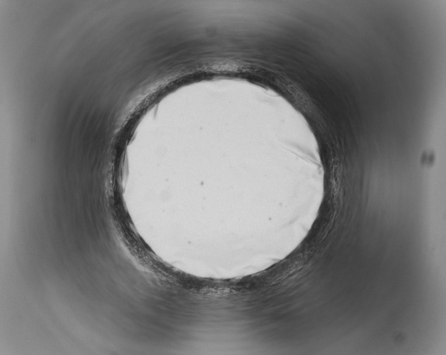 X0000113990728200911131117