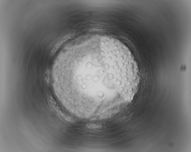 X0000113990729200911131117