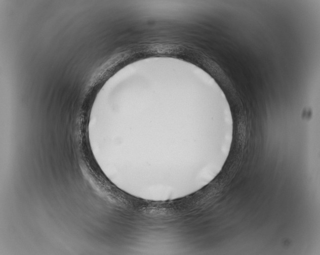 X0000113990730200911131117