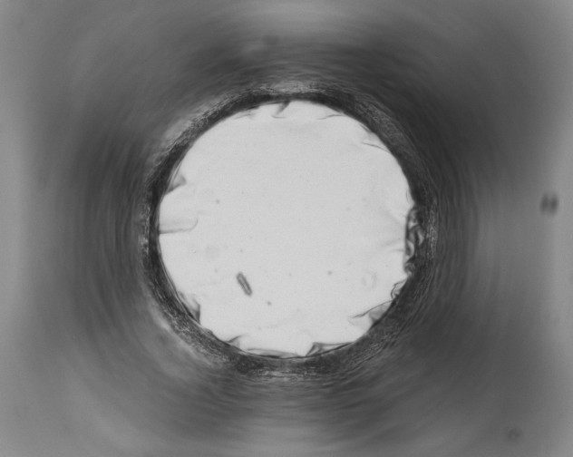 X0000113990732200911131117