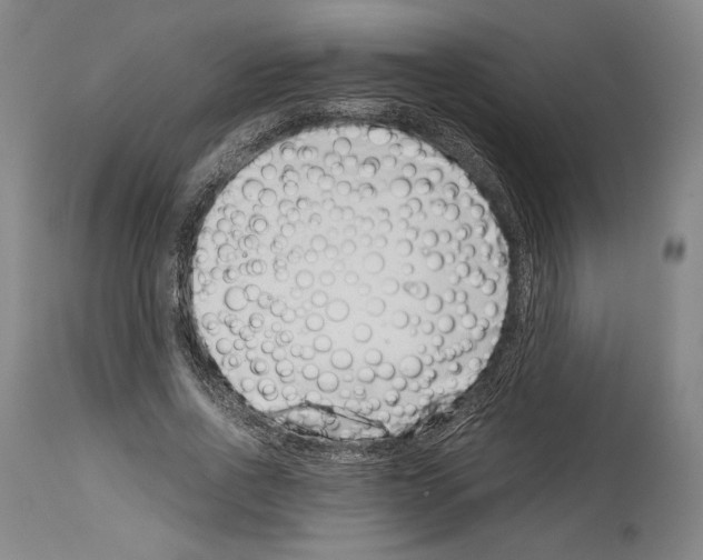 X0000113990734200911131117