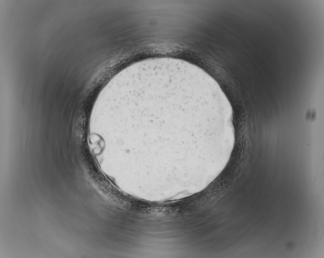 X0000113990736200911131117