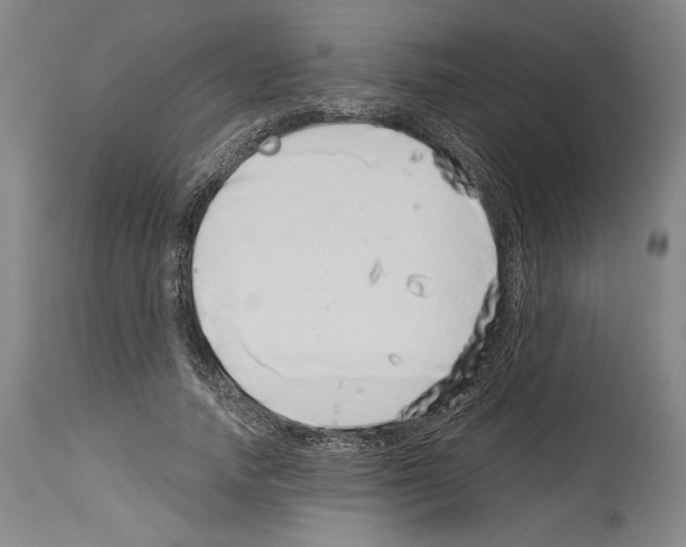 X0000113990738200911131117