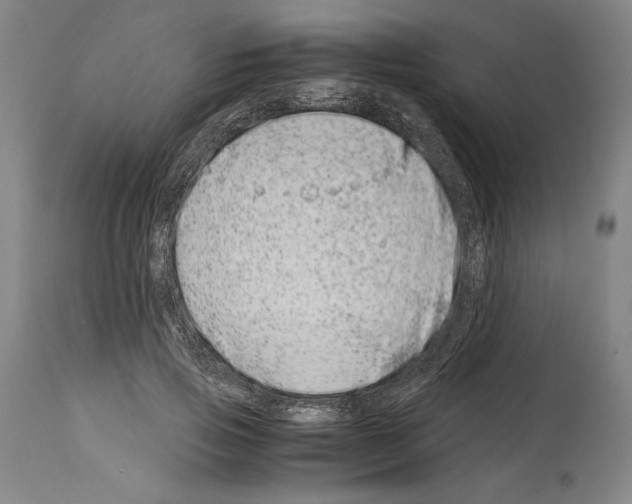 X0000113990741200911131117