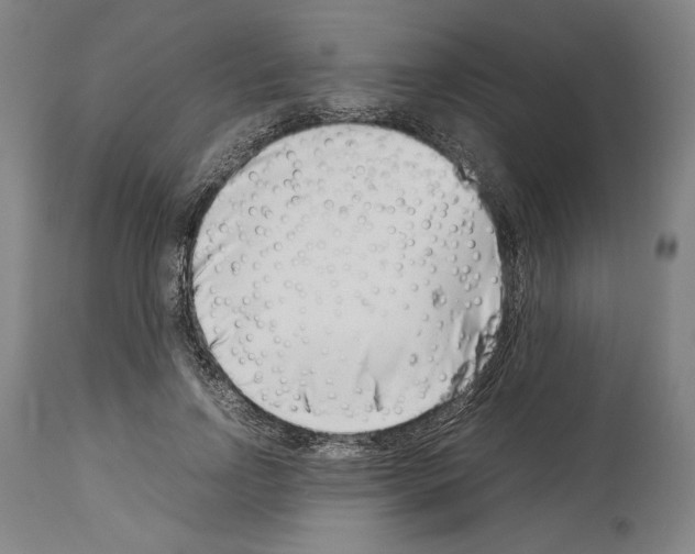 X0000113990742200911131117