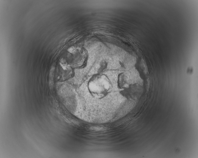 X0000113990745200911131117