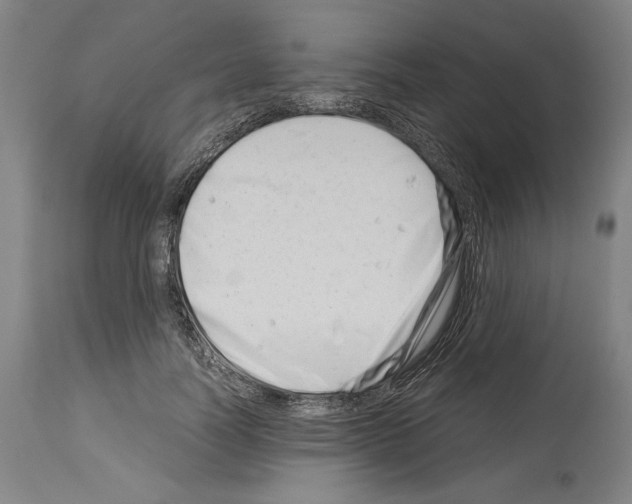 X0000113990746200911131117