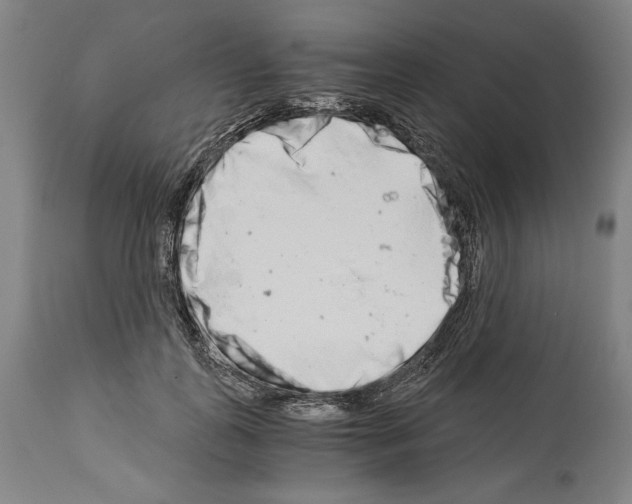 X0000113990747200911131117