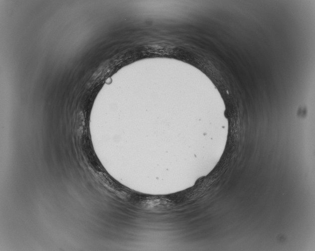 X0000113990752200911131118