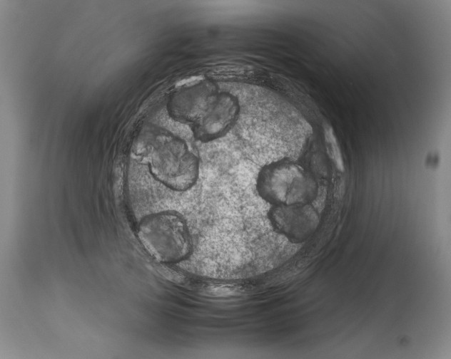 X0000113990753200911131118