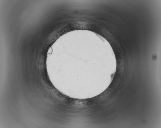 X0000113990760200911131118