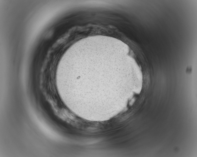 X0000113990765200911131118