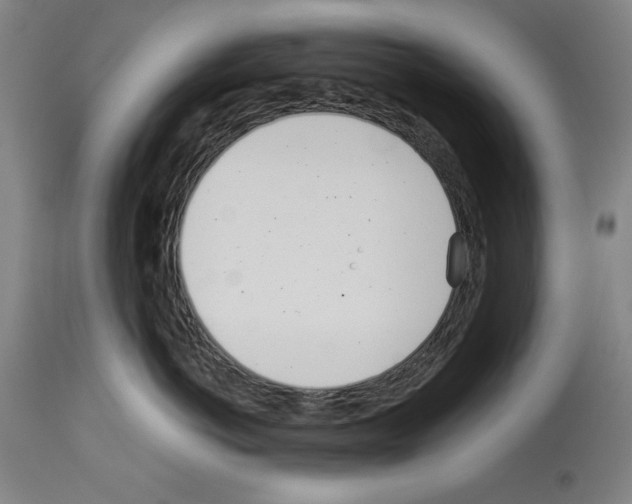 X0000113990766200911131118