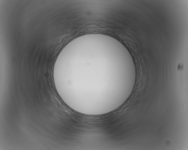 X0000113990768200911131118