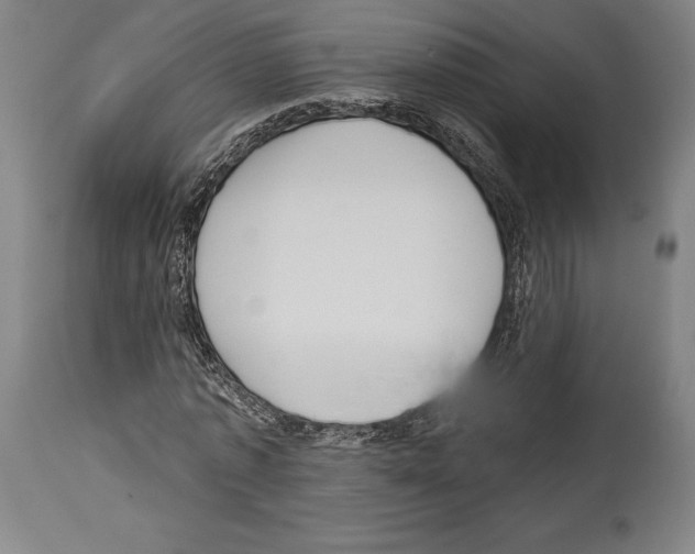 X0000113990773200911131117