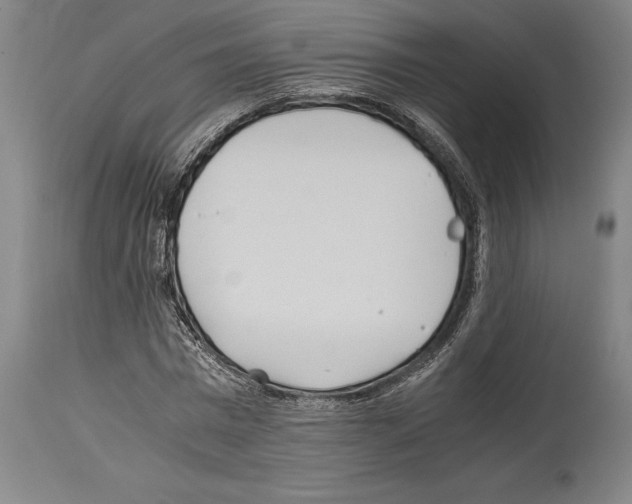 X0000113990777200911131117