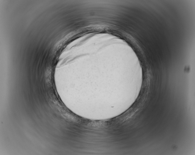 X0000113990778200911131117