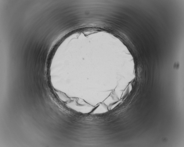 X0000113990780200911131117