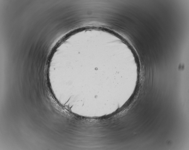 X0000113990783200911131117