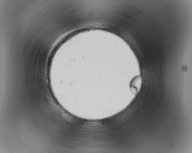 X0000113990784200911131117