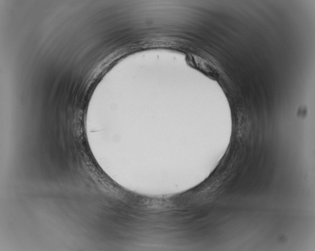 X0000113990786200911131117