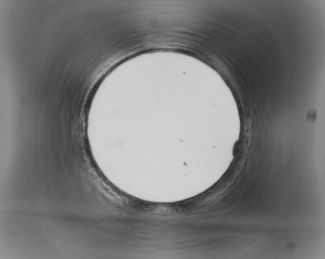 X0000113990787200911131117