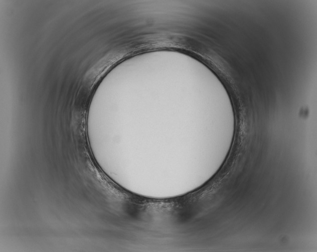 X0000113990793200911131116