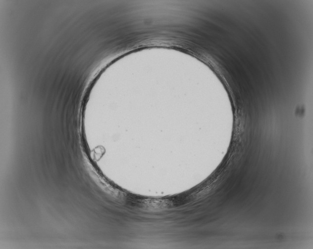 X0000113990795200911131116