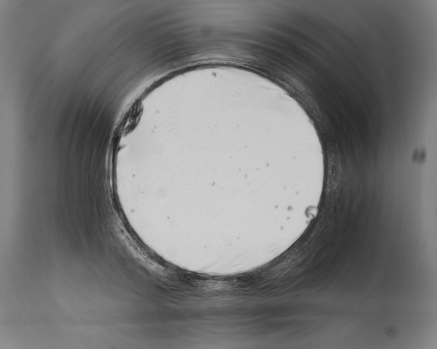 X0000113990796200911131116