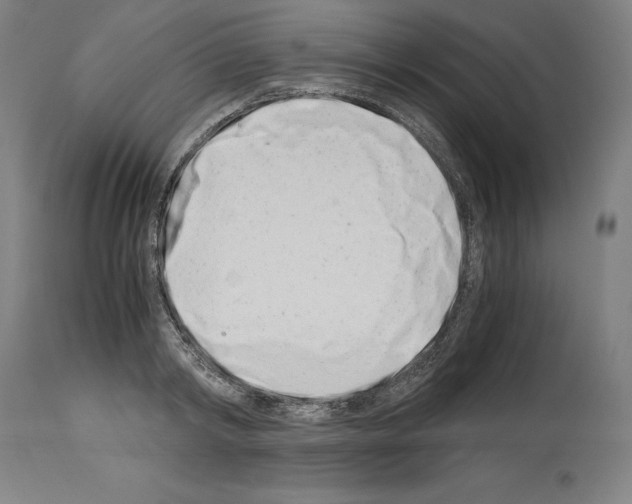 X0000113990798200911131116