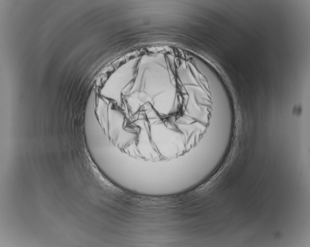 X0000113990801200911131116